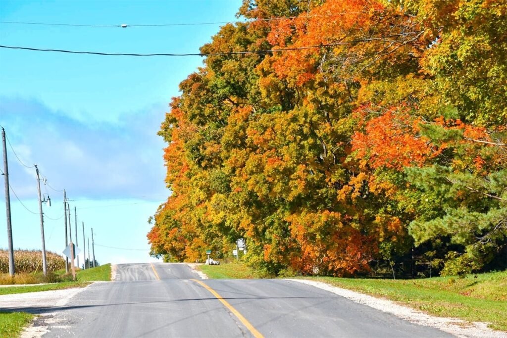 2025 Leaf-Peeping: This Fall Foliage Map Helps Travelers Plan Their Autumn Road Trips