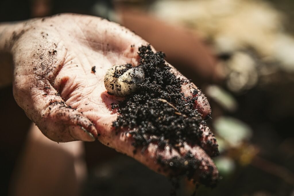 How to Get Rid of Grubs: 4 Methods That Work
