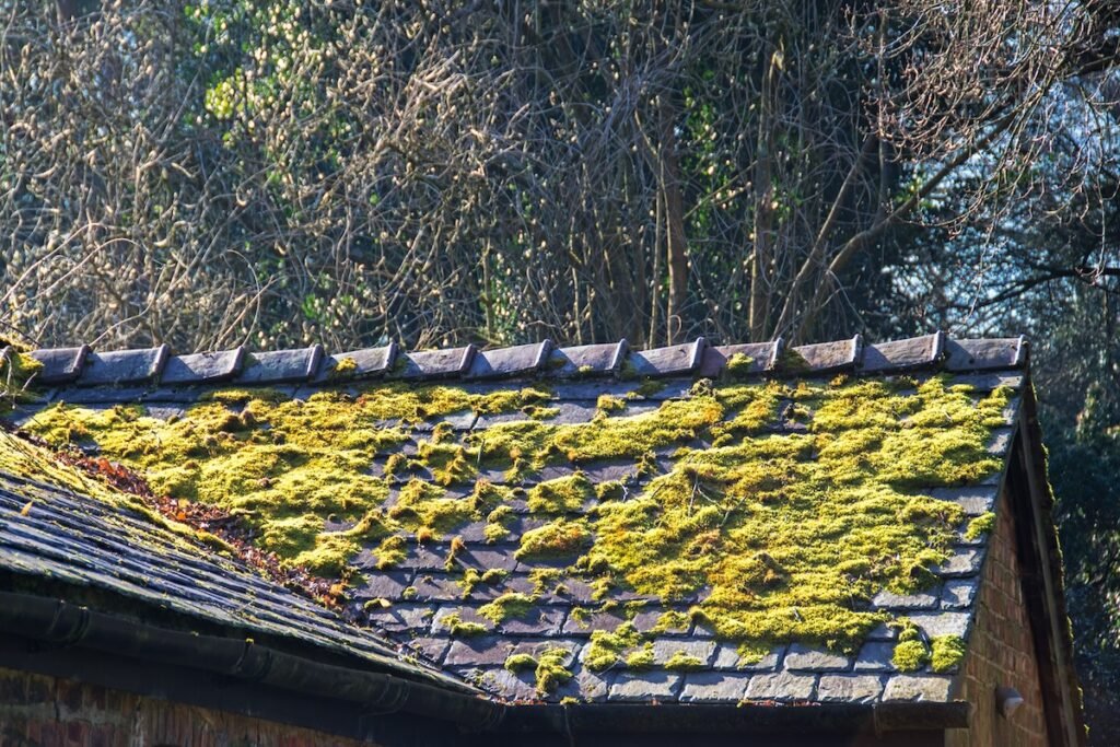 How to Remove Moss From a Roof