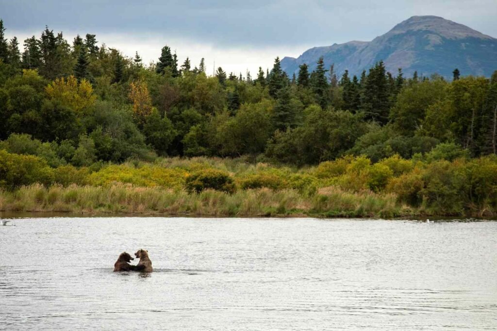 Katmai National Park and Preserve, Alaska, Guide