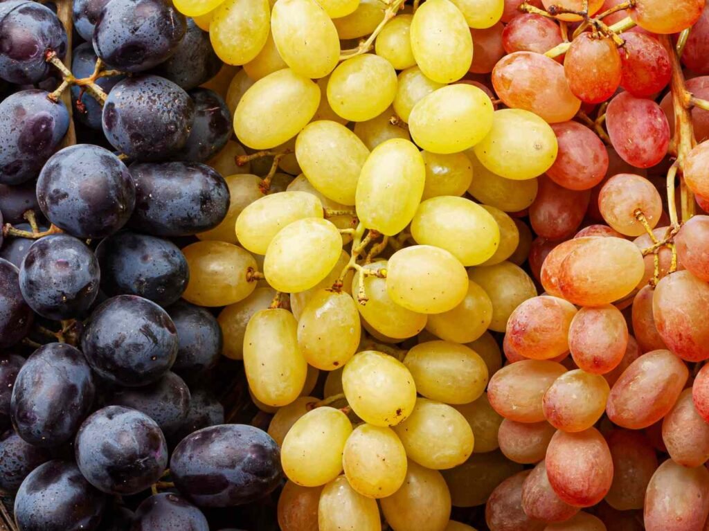 Meet the Grapes Redefining Snack Time