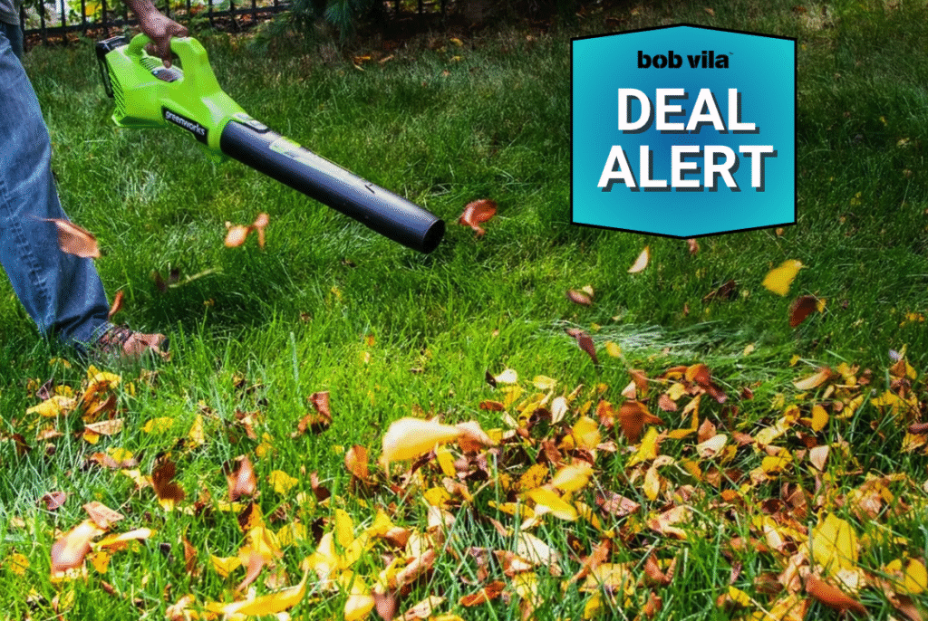 Don’t Miss It: Greenworks 40V Cordless Leaf Blower Is 50% Off and Whisper-Quiet