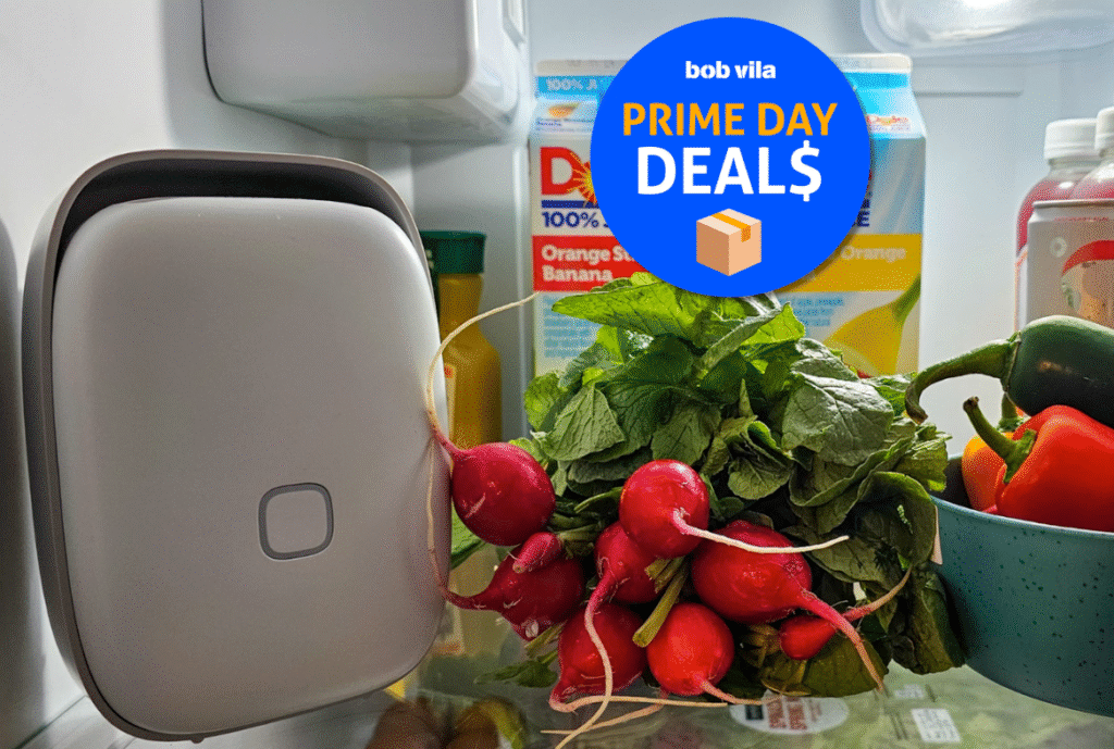 My Secret Weapon to Keep Produce Fresh is 20% Off During Amazon’s October Prime Day