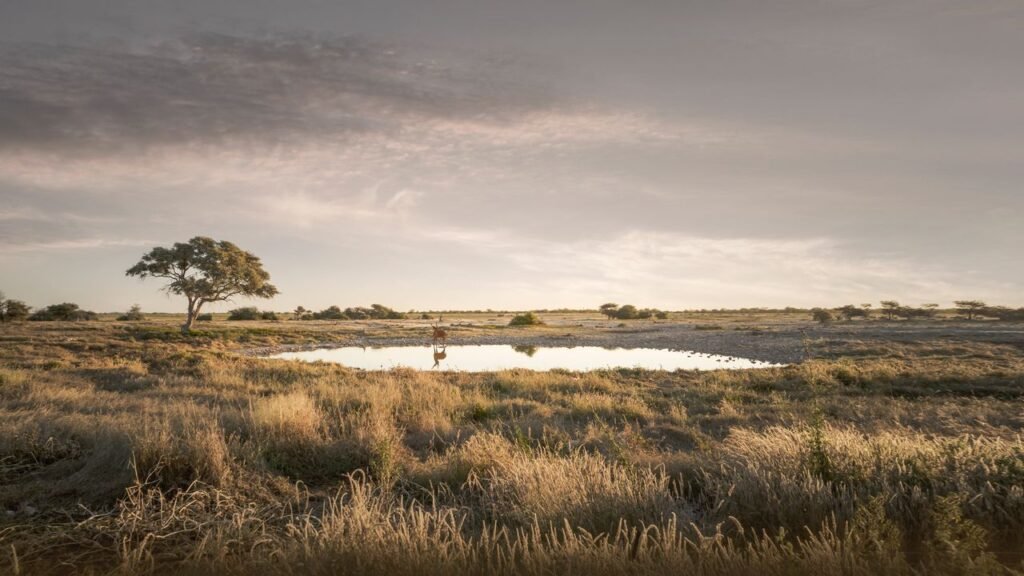 Condé Nast Traveler