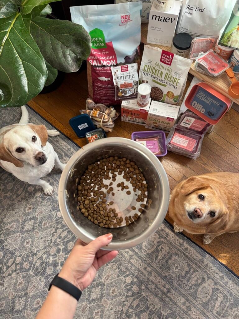 A hand holds a bowl with dog kibble, while two dogs sit nearby. Various bags and containers of dog food and treats are arranged on the floor in the background.