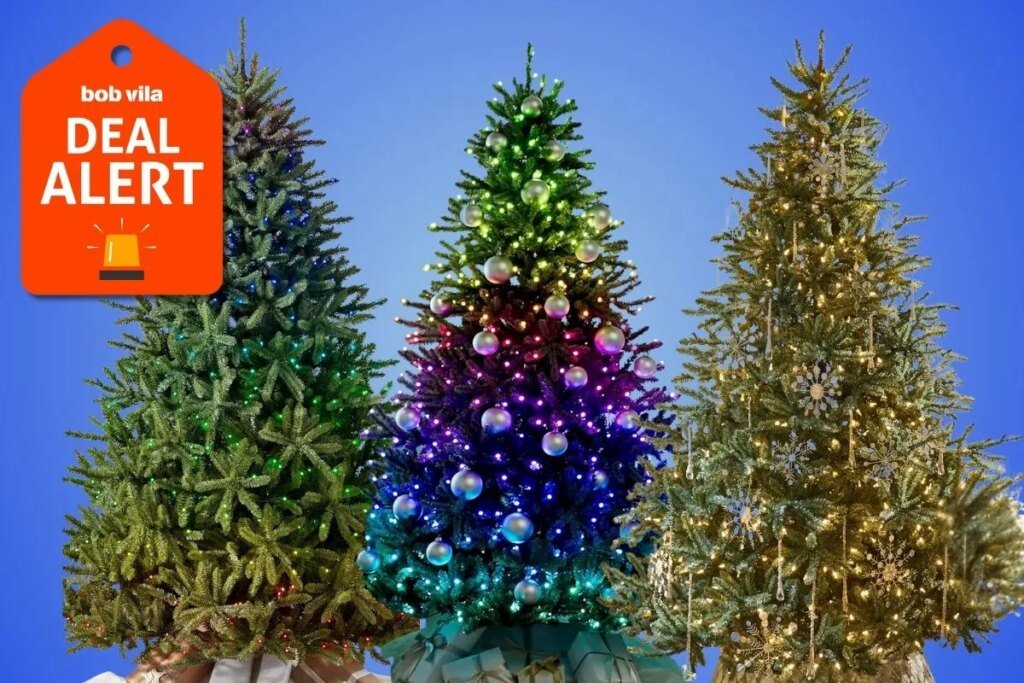 50% Off for Cyber Week