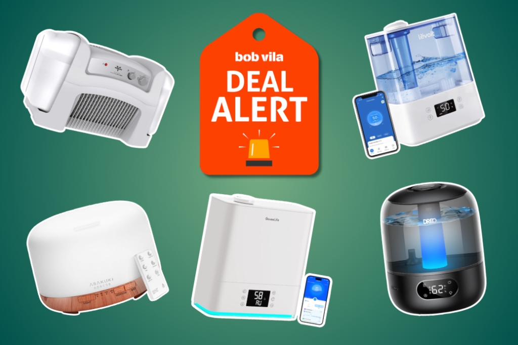 Amazon Cuts Humidifiers to Clearance Prices for Last-Minute Gifts
