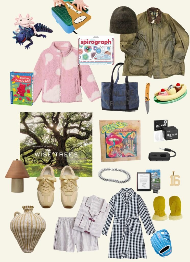 My Family's 2025 Holiday Wish Lists: 47 Gift Ideas for People of All Ages | Wit & Delight