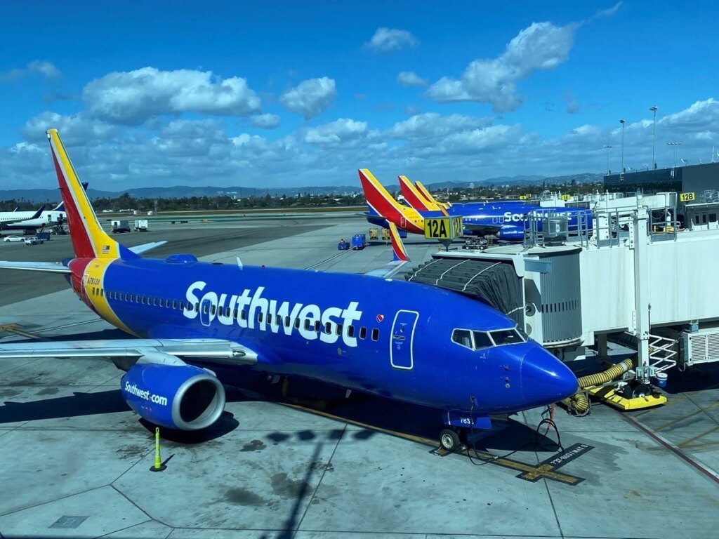 Crew and Passenger Reactions from Day One -