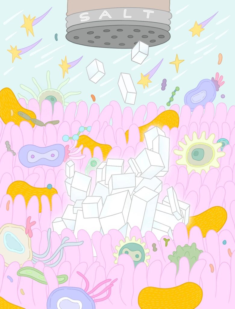 How Much Salt is Too Much?