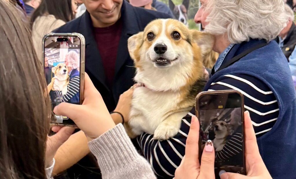 akc meet the breeds 2026 javits center