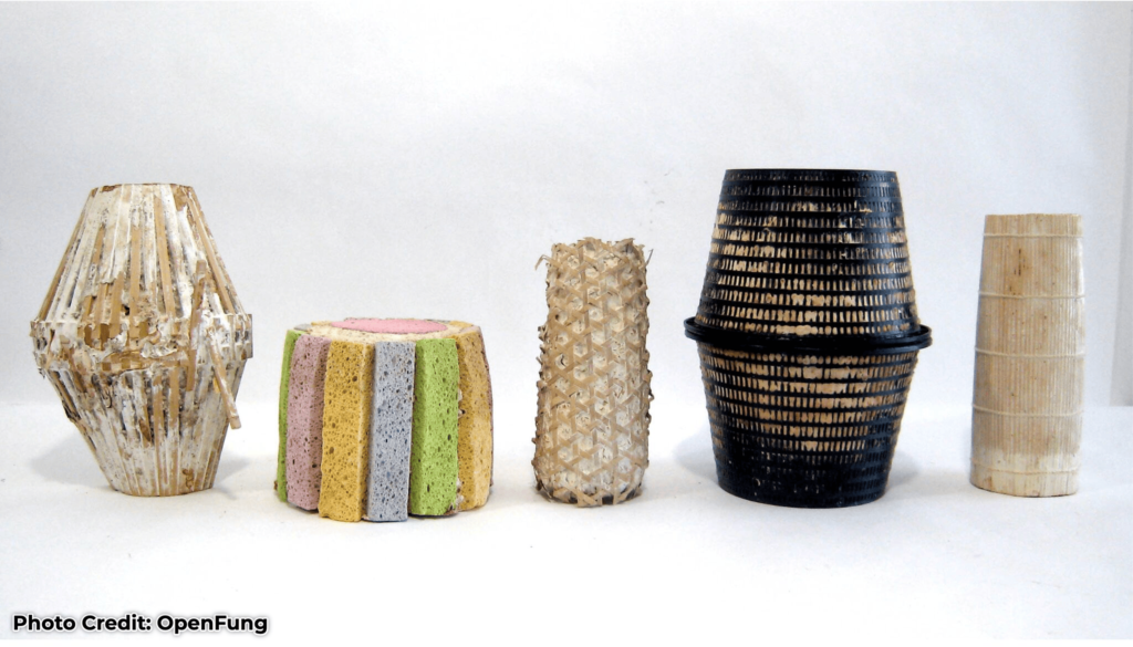 Growing the Future: Fungal Materials for Earth and Space Growing the Future: Fungal Materials for Earth and Space