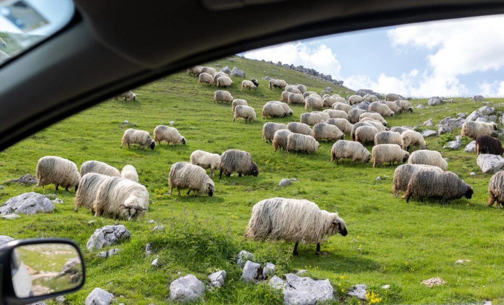 Have a Relaxing Weekend. | Cup of Jo