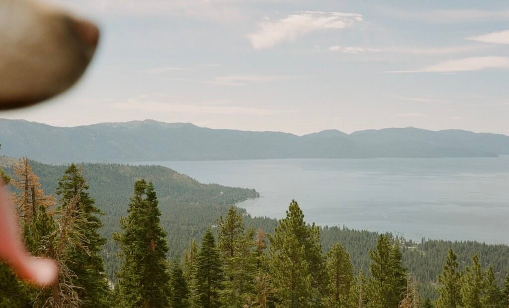 Have a Sweet Weekend. | Cup of Jo