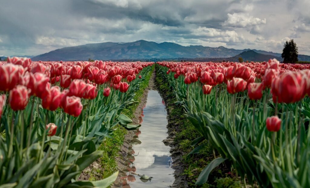 Have a Beautiful Weekend. | Cup of Jo Have a Beautiful Weekend. | Cup of Jo