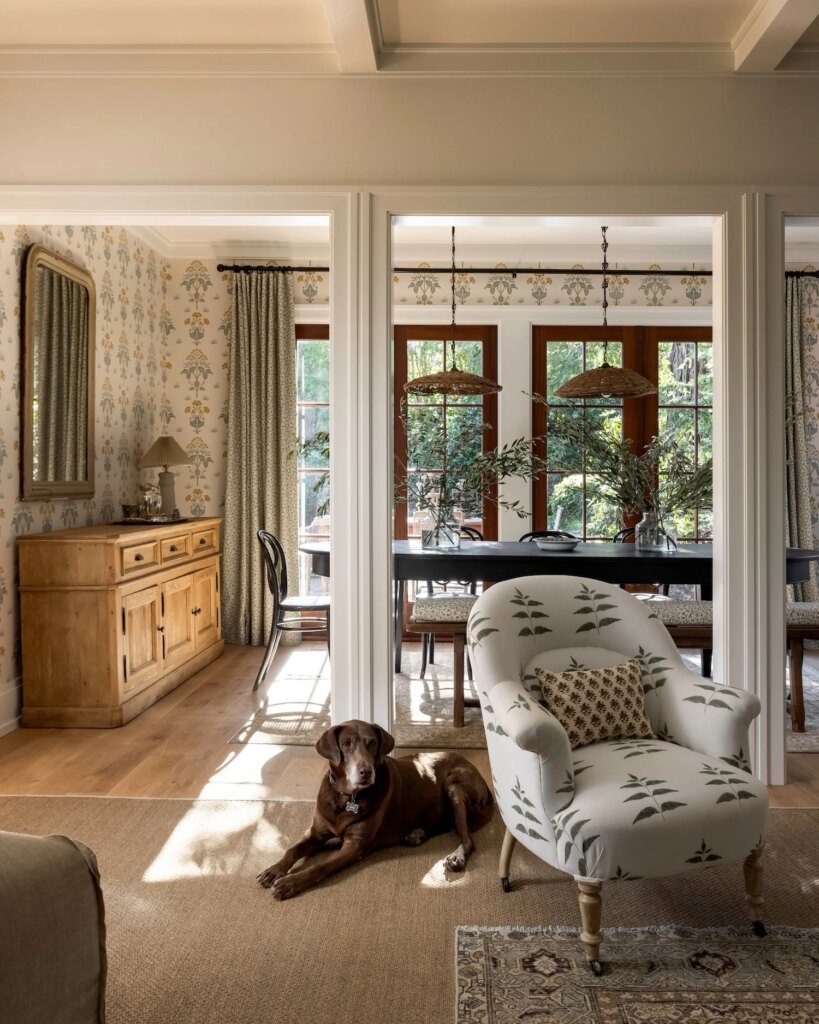 Dog in living room