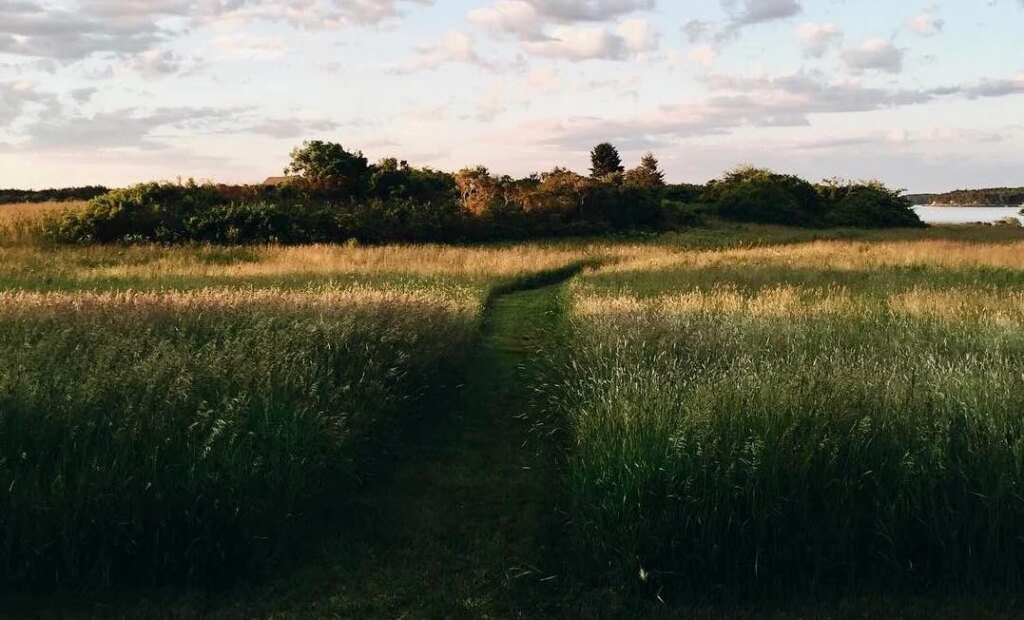 Have a Lovely (Long) Weekend. Have a Lovely (Long) Weekend.