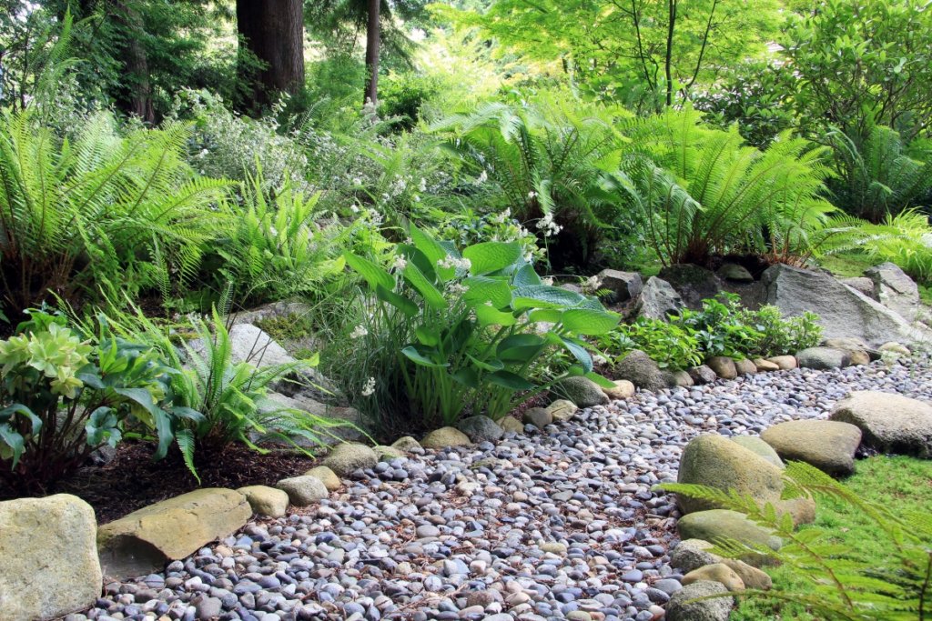 The 13 Best Plants for Under Trees