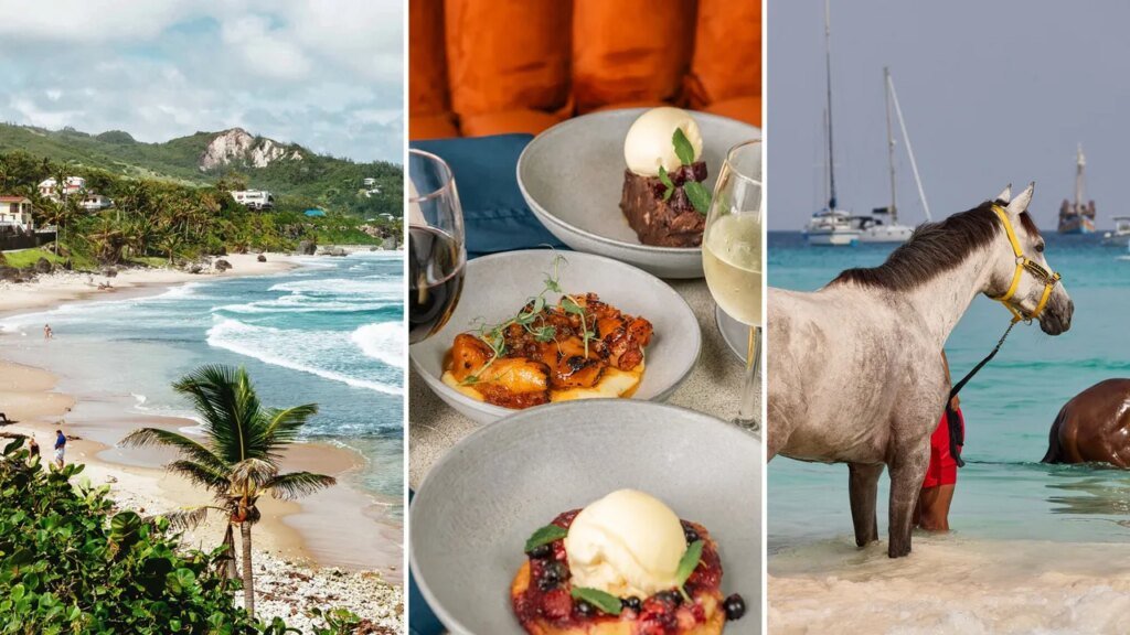 The Best Things to Do in Barbados, and Where to Stay and Eat While You’re There The Best Things to Do in Barbados, and Where to Stay and Eat While You're There
