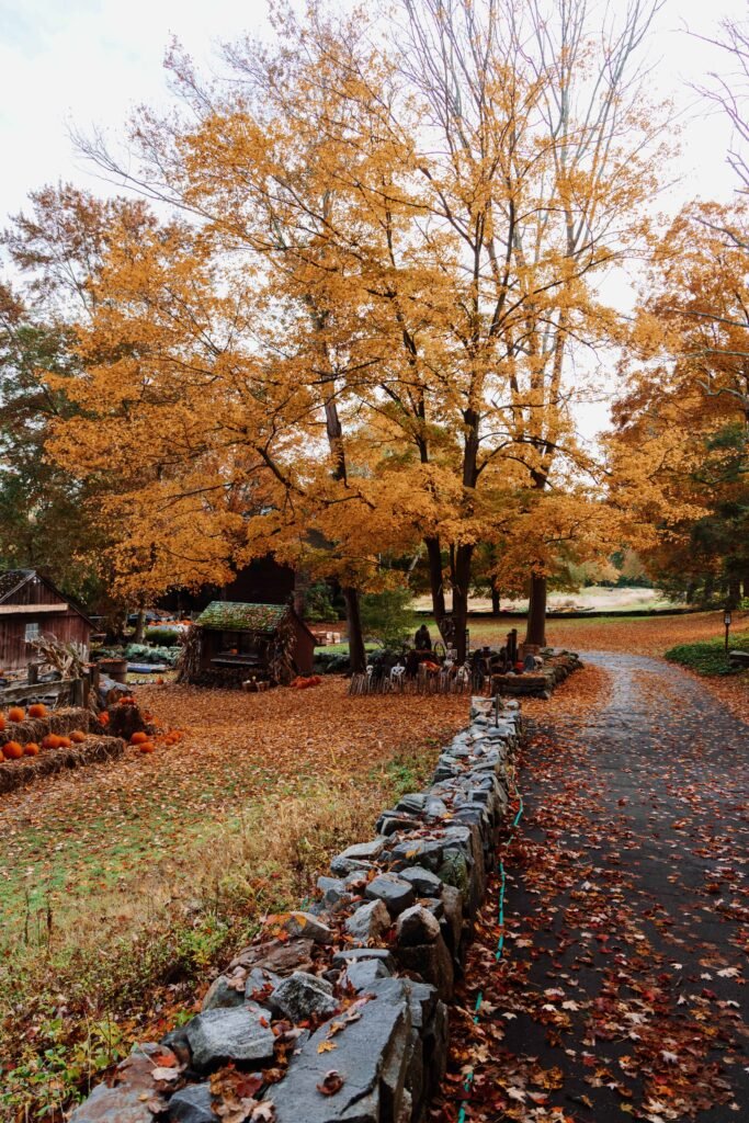 New England Fall Foliage Forecast Prediction for 2026 New England Fall Foliage Forecast Prediction for 2026